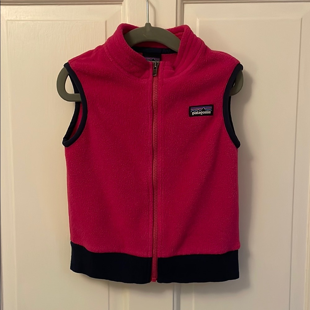 Patagonia Synchilla vest